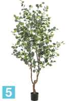 Эвкалиптовое дерево искусственное h-180 см в #REGION_NAME_DECLINE_PP#