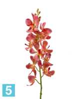 Искусственный цветок для декора Орхидея Дендробиум кораллово-розовая TREEZ Collection в #REGION_NAME_DECLINE_PP#