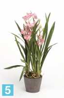 Искусственный цветок в горшке Орхидея Цимбидиум 75h розовый (в торфе) в #REGION_NAME_DECLINE_PP#