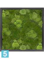 Картина из искусственного мха сатин глянцевый 30% шаровой и 70% плоский мох l-40 w-40 h-6 см в #REGION_NAME_DECLINE_PP#