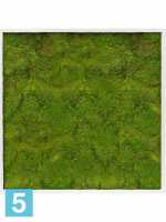 Картина из искусственного мха сатин блеск 100% плоский мох светлый фон l-100 w-100 h-6 см в Москве