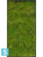 Картина из искусственного мха stiel l матовая 100% плоский мох темный фон l-100 w-50 h-6 см в #REGION_NAME_DECLINE_PP#