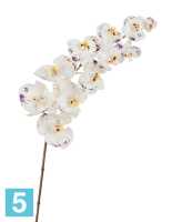 Искусственный цветок для декора Орхидея Фаленопсис Sensitive Botanic цвет естественный белый с фиолет.крапинами TREEZ Collection в Москве