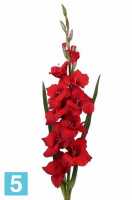 Искусственный цветок для декора Гладиолус 102h красный (9 цветков + 4 бутона + 2 листа) в #REGION_NAME_DECLINE_PP#