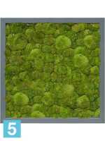 Картина из искусственного мха атласный блеск 100% шаровый мох l-40 w-40 h-6 см в #REGION_NAME_DECLINE_PP#