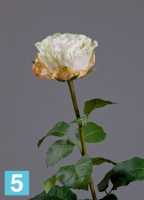 Искусственный цветок для декора Роза Английская Большая ваниль-лайм-крем TREEZ Collection в Москве