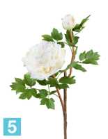 Искусственный цветок для декора Пион белый ветвь малая TREEZ Collection в #REGION_NAME_DECLINE_PP#