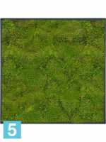 Картина из искусственного мха stiel l матовая 100% плоский мох темный фон l-70 w-70 h-6 см в Москве