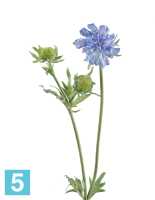 Искусственный цветок для декора Скабиоза голубая 68 см 1цв 1бут TREEZ Collection в #REGION_NAME_DECLINE_PP#