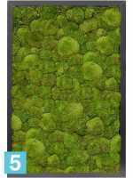 Картина из искусственного мха сатин блеск 100% шаровый мох темный фон l-60 w-40 h-6 см в #REGION_NAME_DECLINE_PP#