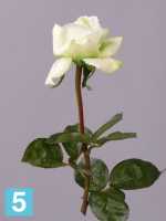 Искусственный цветок для декора Роза Каролина Sensitive Botanic лайм в #REGION_NAME_DECLINE_PP#