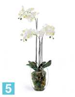 Композиция из искусственных цветов Орхидея Фаленопсис белая с мхом, корнями, землей 85h TREEZ Collection в Москве