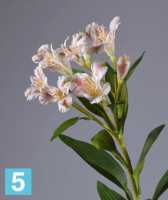 Искусственный цветок для декора Альстромерия бело-розовая TREEZ Collection в #REGION_NAME_DECLINE_PP#