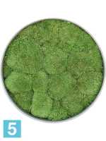 Картина из искусственного мха утонченная дымчатая серая 100% шар мох d-40 h-5 см