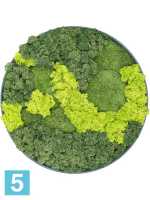 Картина из искусственного мха сосна рафинированная зеленая 30% шаровый мох 70% мох олень (микс) d-50 h-5 см