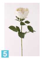 Искусственный цветок для декора роза декоративная Шанталь 10dx70h крем в #REGION_NAME_DECLINE_PP#