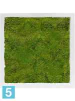 Картина из искусственного мха сатин блеск 100% плоский мох l-40 w-40 h-6 см в #REGION_NAME_DECLINE_PP#