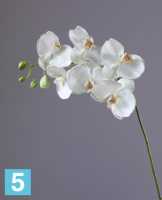 Искусственный цветок для декора Орхидея Фаленопсис белоснежная 100h TREEZ Collection в Москве