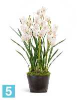 Искусственный цветок в горшке Орхидея Цимбидиум куст белый 3 ветки с имитацией земли (без кашпо) TREEZ Collection в #REGION_NAME_DECLINE_PP#
