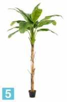 Пальма Банановая искусственная Emerald (15 листов) 210h в #REGION_NAME_DECLINE_PP#