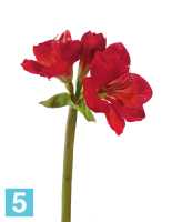 Искусственный цветок для декора Амариллис темно-красный TREEZ Collection в #REGION_NAME_DECLINE_PP#