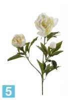 Искусственный цветок для декора Пион ветка 2 цветка 1 бутон h70 см белый в #REGION_NAME_DECLINE_PP#
