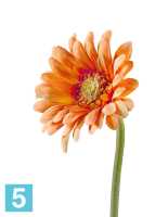 Искусственный цветок для декора Гербера персиковая в-66 см, д-12 см TREEZ Collection в #REGION_NAME_DECLINE_PP#