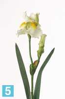 Искусственный цветок для декора Ирис бородатый белый ( 1 цвето +1 бутон ) h71см в #REGION_NAME_DECLINE_PP#