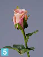 Искусственный цветок для декора Роза Анабель крем-роз TREEZ Collection в #REGION_NAME_DECLINE_PP#