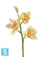 Искусственный цветок для декора Орхидея Цимбидиум ветвь нежно-золотистая малая TREEZ Collection в #REGION_NAME_DECLINE_PP#