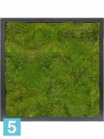Картина из искусственного мха satin gloss 100% плоский мох l-40 w-40 h-6 см в #REGION_NAME_DECLINE_PP#