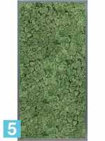 Картина из искусственного мха атласный блеск 100% олений мох (мох зеленый) серый фон l-120 w-60 h-6 см в #REGION_NAME_DECLINE_PP#