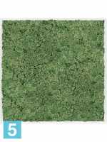 Картина из искусственного мха сатин блеск 100% олений мох (мох зеленый) l-100 w-100 h-6 см в #REGION_NAME_DECLINE_PP#
