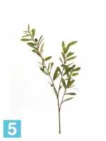 Искусственная Оливковая ветвь 80h зеленая (3 плода) в #REGION_NAME_DECLINE_PP#