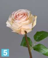 Искусственный цветок для декора Роза Соло Нью большая крем-роз TREEZ Collection в #REGION_NAME_DECLINE_PP#