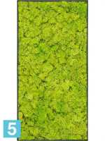 Картина из искусственного мха stiel l матовая 100% олений мох (весенне-зеленый) темный фон l-100 w-50 h-6 см в #REGION_NAME_DECLINE_PP#