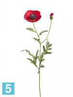 Искусственный цветок для декора Мак восточный красный TREEZ Collection в #REGION_NAME_DECLINE_PP#