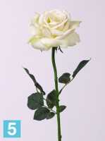 Искусственный цветок для декора Роза Королевская 14dx67h кремовая в #REGION_NAME_DECLINE_PP#