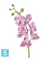 Искусственный цветок для декора Орхидея Фаленопсис Элегант розово-белая TREEZ Collection в #REGION_NAME_DECLINE_PP#