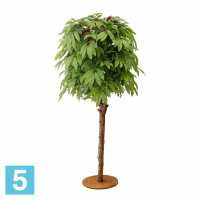 Кофейное дерево искусственное Alseed, h-180  см., латекс в #REGION_NAME_DECLINE_PP#