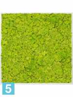 Картина из искусственного мха алюминий 100% олений мох (весенний зеленый) l-100 w-100 h-6 см в Москве