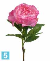 Искусственный цветок для декора Пион "Anouk" 16dx71h темно-розовый (8 листов) в #REGION_NAME_DECLINE_PP#