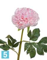 Искусственный цветок для декора Пион махровый нежно-розовый TREEZ Collection в #REGION_NAME_DECLINE_PP#