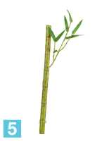 Искусственный стебель Бамбука длинный светло зеленый с веточкой TREEZ Collection в #REGION_NAME_DECLINE_PP#
