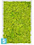 Картина из искусственного мха сатин блеск 100% олений мох (весенний зеленый) светлый фон l-60 w-40 h-6 см в #REGION_NAME_DECLINE_PP#