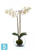 Композиция из искусственных цветов Орхидея Фаленопсис (Sensitive Botanic) белая с фиолетовым в-65 см в стекл.шаре с мхом,землей, водой TREEZ Collection в Москве