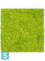 Картина из искусственного мха атласный блеск 100% олень (весенний зеленый) l-100 w-100 h-6 см в Москве