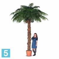 Пальма с плодами кокоса искусственная Alseed, h-350 см., латекс в #REGION_NAME_DECLINE_PP#