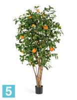 Апельсиновое дерево искусственное TREEZ Collection с плодами 180h в Москве