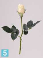 Искусственный букет из светло-желтых роз Джой 68h (25шт.) в #REGION_NAME_DECLINE_PP#